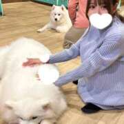 ヒメ日記 2025/12/28 19:54 投稿 ゆずは マリン宮殿水戸店