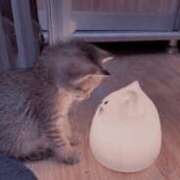 ヒメ日記 2025/03/24 15:28 投稿 あおい☆竹 五十妻（イソップ）40代～60代　山口・防府店