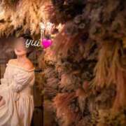 ヒメ日記 2025/01/19 22:22 投稿 山川由衣(やまかわゆい) 東京ヒストリー　秘密の約束