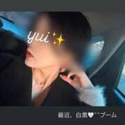 ヒメ日記 2025/02/11 10:52 投稿 山川由衣(やまかわゆい) 東京ヒストリー　秘密の約束