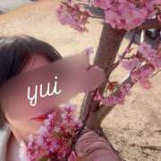 ヒメ日記 2025/03/10 09:03 投稿 山川由衣(やまかわゆい) 東京ヒストリー　秘密の約束