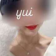 ヒメ日記 2025/03/17 09:42 投稿 山川由衣(やまかわゆい) 東京ヒストリー　秘密の約束