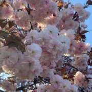 ヒメ日記 2025/04/07 14:34 投稿 Sui 濃密バブルSPA VIP