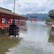 ヒメ日記 2025/10/23 18:04 投稿 Sui 濃密バブルSPA VIP