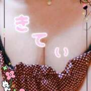 ヒメ日記 2025/07/06 20:37 投稿 きてぃ 熟女家 堺東店