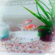 ヒメ日記 2025/08/27 17:17 投稿 きてぃ 熟女家 堺東店