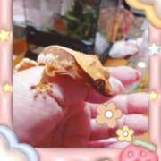 ヒメ日記 2025/12/28 17:37 投稿 きてぃ 熟女家 堺東店