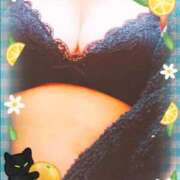 ヒメ日記 2026/02/15 10:59 投稿 きてぃ 熟女家 堺東店