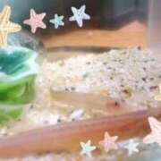 ヒメ日記 2026/03/04 16:57 投稿 きてぃ 熟女家 堺東店