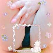 ヒメ日記 2026/03/17 12:17 投稿 きてぃ 熟女家 堺東店