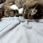 ヒメ日記 2025/02/08 18:16 投稿 七宮～NANAMIYA～ BBW大宮店