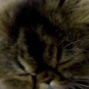 ヒメ日記 2025/02/13 19:50 投稿 七宮～NANAMIYA～ BBW大宮店