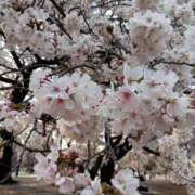 ヒメ日記 2025/04/10 21:01 投稿 七宮～NANAMIYA～ BBW大宮店