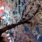 ヒメ日記 2025/04/12 12:30 投稿 七宮～NANAMIYA～ BBW大宮店