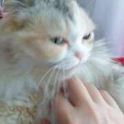 ヒメ日記 2025/04/21 13:07 投稿 七宮～NANAMIYA～ BBW大宮店