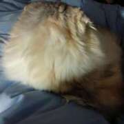 ヒメ日記 2025/05/10 08:02 投稿 七宮～NANAMIYA～ BBW大宮店