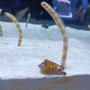 ヒメ日記 2025/06/30 14:22 投稿 七宮～NANAMIYA～ BBW大宮店