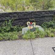 ヒメ日記 2025/12/30 03:28 投稿 あゆこ 快楽夫人