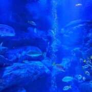 ヒメ日記 2025/07/19 09:30 投稿 ゆう 西川口コスプレメイド学園（シンデレラグループ）