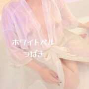 ヒメ日記 2025/01/09 17:42 投稿 つばき ホワイトベル