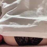 ヒメ日記 2025/01/17 16:43 投稿 つばき ホワイトベル