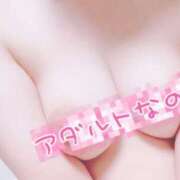 ヒメ日記 2025/03/17 00:14 投稿 つばき ホワイトベル