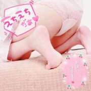 ヒメ日記 2025/05/02 03:42 投稿 つばき ホワイトベル