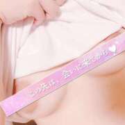 ヒメ日記 2025/06/20 00:42 投稿 つばき ホワイトベル