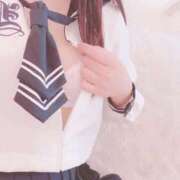 ヒメ日記 2025/09/02 03:32 投稿 つばき ホワイトベル