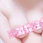 ヒメ日記 2025/10/28 20:22 投稿 つばき ホワイトベル