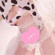 ヒメ日記 2025/11/14 23:02 投稿 つばき ホワイトベル