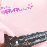 ヒメ日記 2026/03/28 20:12 投稿 つばき ホワイトベル