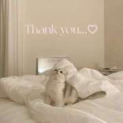 ヒメ日記 2025/01/16 21:01 投稿 桧山みおり ABC 岩手ソープ