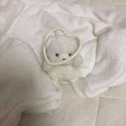 ヒメ日記 2025/08/19 00:46 投稿 桧山みおり ABC 岩手ソープ