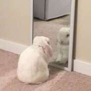 ヒメ日記 2025/08/21 23:46 投稿 桧山みおり ABC 岩手ソープ