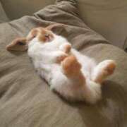 ヒメ日記 2026/03/30 00:01 投稿 桧山みおり ABC 岩手ソープ