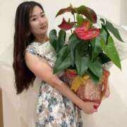 ヒメ日記 2025/07/07 00:02 投稿 つばき　さく ハピネス福岡