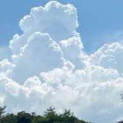 つばき　さく 蒸しますねー ハピネス福岡