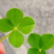 ヒメ日記 2025/10/14 20:23 投稿 やよい 奥様の実話 谷九店