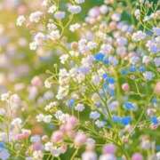 ヒメ日記 2025/11/01 08:22 投稿 やよい 奥様の実話 谷九店