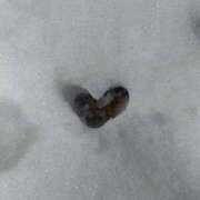 ヒメ日記 2026/01/05 07:00 投稿 やよい 奥様の実話 谷九店