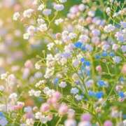 ヒメ日記 2026/01/08 20:01 投稿 やよい 奥様の実話 谷九店