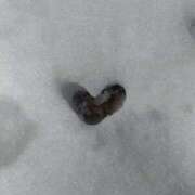 ヒメ日記 2026/01/11 08:14 投稿 やよい 奥様の実話 谷九店