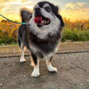 ヒメ日記 2024/12/31 05:59 投稿 えみ 一夜妻