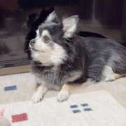 ヒメ日記 2025/01/13 07:29 投稿 えみ 一夜妻