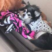 ヒメ日記 2025/01/26 06:29 投稿 えみ 一夜妻