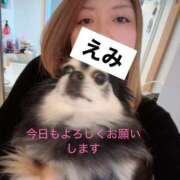 ヒメ日記 2025/03/09 15:14 投稿 えみ 一夜妻