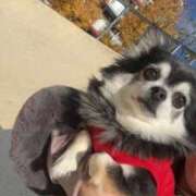 ヒメ日記 2025/03/10 05:19 投稿 えみ 一夜妻