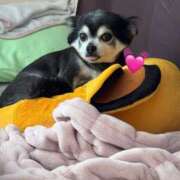 ヒメ日記 2025/03/31 00:49 投稿 えみ 一夜妻