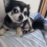 ヒメ日記 2025/04/05 04:19 投稿 えみ 一夜妻